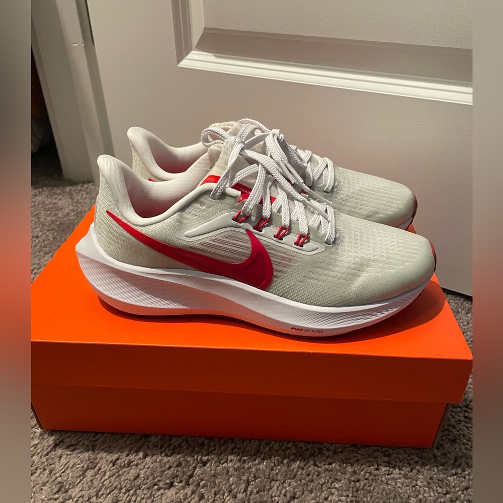 Nike Air Zoom Pegasus 39